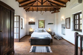 Tresor Boutique Home, Kolios